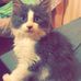 Aline Valade - Facebook