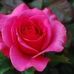 Aline Valade - Facebook