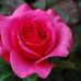 Aline Valade - Facebook