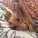 Alisa Alexander - Facebook