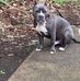 Alisa Bennett - Facebook