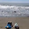 Alisa Brown - @alisa.brown8 - TikTok