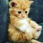 alisaducaseh - @alisaducaseh - Instagram