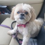 Alisa Coleman Ellis - @bella.girl2006 - Instagram