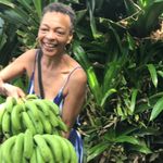 Alisa Ellis - @mslisaishere - Instagram