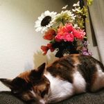Alisa Ellis - @alisa.ellis.980 - Instagram