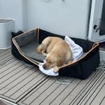 Alisa Erickson - @adventurousrubyrose - Instagram