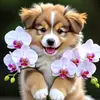 Cuteup - @analisalowe - TikTok