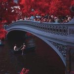 Alisa Renee Morrison - @lisareneem72 - Instagram