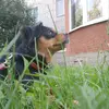 Alisa_new3 - @alisa_new3 - TikTok