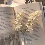 @_.alisanice._ - Instagram