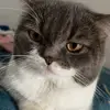 alisayorr - @alisayorr - TikTok