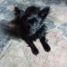Alisa Overy - Facebook