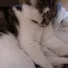 Alisa Patten - @millymaya202017 - TikTok