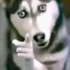 Alisa Thomas - @alisa.thomas71 - TikTok