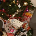 Alisa_berlin - @alisawest7508 - Instagram
