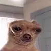 alisesmith396 - @alisesmith396 - TikTok