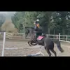 Alishabeal_xx - @alishabeal_xx - TikTok