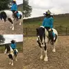 Alisha Davison - @alisha_davison15 - TikTok