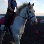 Alisha🐴❤️ - @alisha_jade_doherty - Instagram
