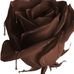 Alisha Dua - Facebook