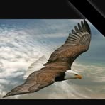 Elisha Eagles - Facebook