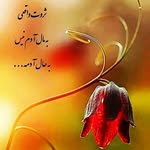 maryam.1373 - @alishaeganpur - Instagram