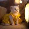 Alisha Elisha - @alisha.elisha02 - TikTok