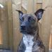 Alisha Evers - Facebook