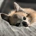 Alisha Evers Schneider - Facebook