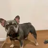 @alisha_gibson26 - @alisalisha2 - TikTok