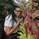 Alisha Huff - @talishagirlhush - Instagram