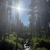 Alisha Jensen - @alisha.the.lasher - TikTok