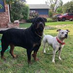 Alisha koepke Jensen - @leesh1969 - Instagram