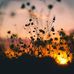 Alisha Lloyd - Facebook