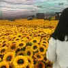 alishameyer269 - @alishameyer269 - TikTok
