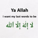 Alisha Muhammad - @alishamuhammad6 - Instagram