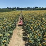 Alisha Olsen - @a_lisha_o - Instagram