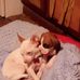 Alisha Olsen - Facebook