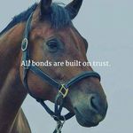 alisha porter - @horsesarethelightoftheworld - Instagram