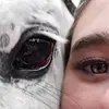 Alisha Schultz - @alishaschultz4 - TikTok