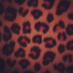 Alisha Schultz - @timtam313 - Instagram