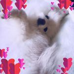 Alisha Self - @alishaself10 - Instagram