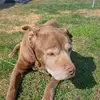 Alisha Sells - @alisha.sells - TikTok