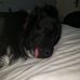 Alisha Thayer - Facebook