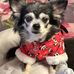 Alisha Thomson - Facebook