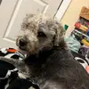 Alisha Wise - @captainsala - TikTok
