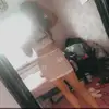 🫶Alisha🫶 - @x_alisha_hawthorn_xx - TikTok