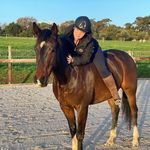 alishia walker - @alishiawalker_equines - Instagram