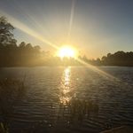 Alison Abraham - @photo_framed_photography - Instagram